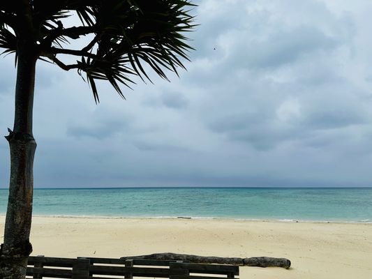 Eef Beach Hotel by null