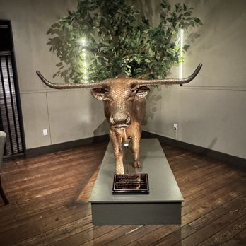 Vince Young Steakhouse - Da Bull - Steakhouses Near Me - Austin, Texas