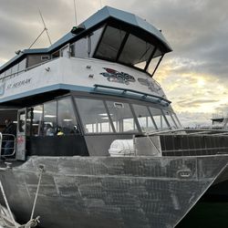 Allen Marine Tours
