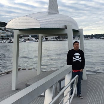 Lake Union Piers - Parks Near Me - Seattle, Washington Lake Union Piers - Parks Near Me - Seattle, Washington