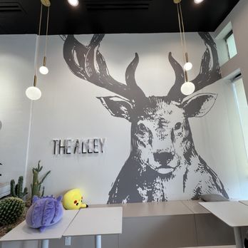 The Alley - Wall mural - Bubble Tea Near Me - Plano, Texas The Alley - Wall mural - Bubble Tea Near Me - Plano, Texas