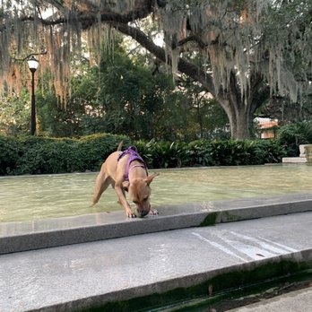 Audubon Park - Parks Near Me - New Orleans, Louisiana
