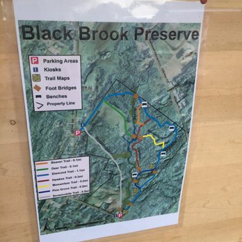 Black Brook Preserve - Satellite map of the trail - Hiking Near Me - Windham, Maine
