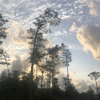 Buckingham Trails Preserve - Hiking Near Me - Fort Myers, Florida
