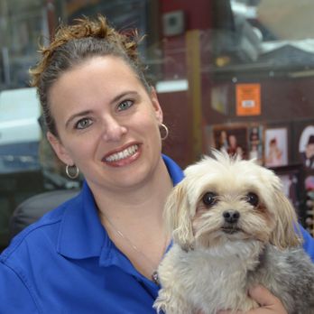 Olson's Body & Paint - Meet shop dog, Molly! - Body Shops Near Me - Waukee, Iowa Olson's Body & Paint - Meet shop dog, Molly! - Body Shops Near Me - Waukee, Iowa