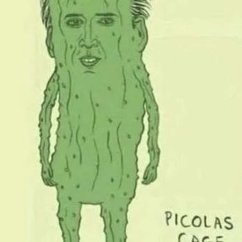 Westmoreland Movers - Picolas Cage - Movers Near Me - Latrobe, Pennsylvania
