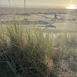 Just a dune away Just a dune away