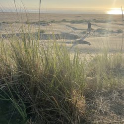 Pacific Beach State Park - Just a dune away