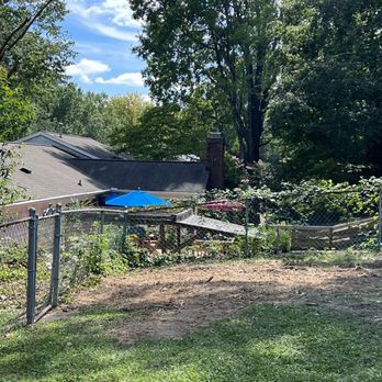 Rlayang Tree service - Tree cleared from area with chips remaining - Tree Services Near Me - Greensboro, North Carolina Rlayang Tree service - Tree cleared from area with chips remaining - Tree Services Near Me - Greensboro, North Carolina