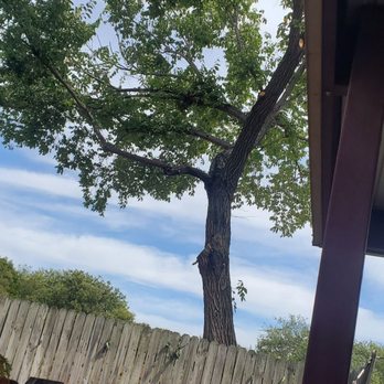 Southwest Tree Service - Tree Services Near Me - Euless, Texas Southwest Tree Service - Tree Services Near Me - Euless, Texas