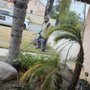 Photo of Diaz Pest Services