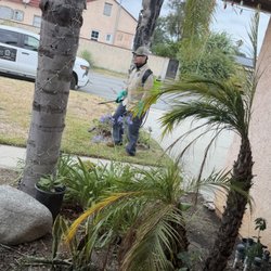 Diaz Pest Services
