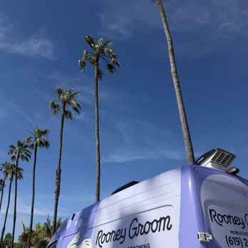 Rooney Groom - Pet Groomers Near Me - San Diego, California Rooney Groom - Pet Groomers Near Me - San Diego, California