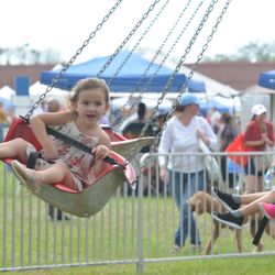 Habitat Ocala Strawberry Festival