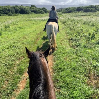 Gunstock Ranch - Horseback Riding Near Me - Laie, Hawaii Gunstock Ranch - Horseback Riding Near Me - Laie, Hawaii