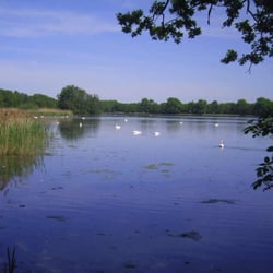 Teiche