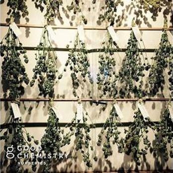 Good Chemistry - Cannabis Clinics Near Me - Denver, Colorado