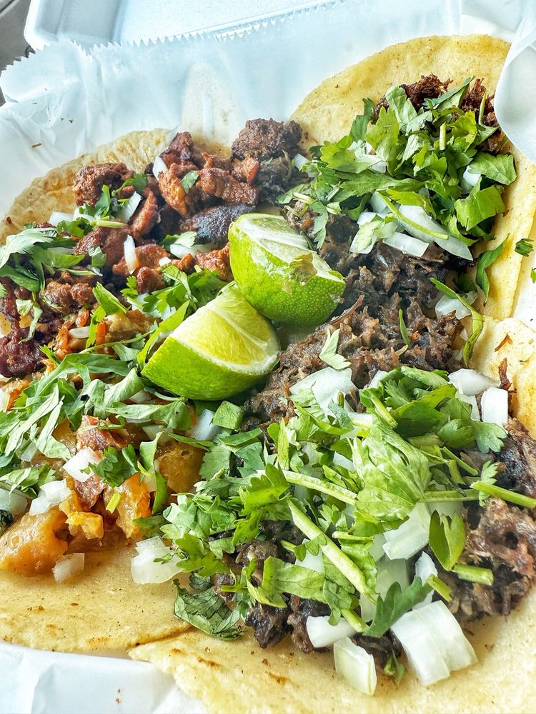 Taqueria Mi Bonita/Food Truck