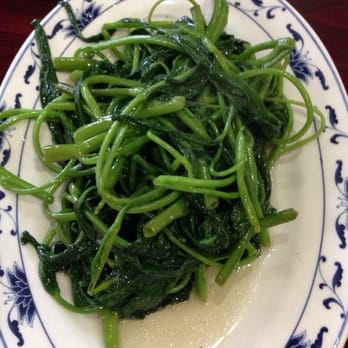 Lang Qi - a plate of stir fried spinach - Chinese Near Me - Brooklyn, New York Lang Qi - a plate of stir fried spinach - Chinese Near Me - Brooklyn, New York