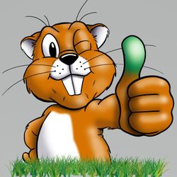 Second Nature Landscaping & Guaranteed Greener Grass