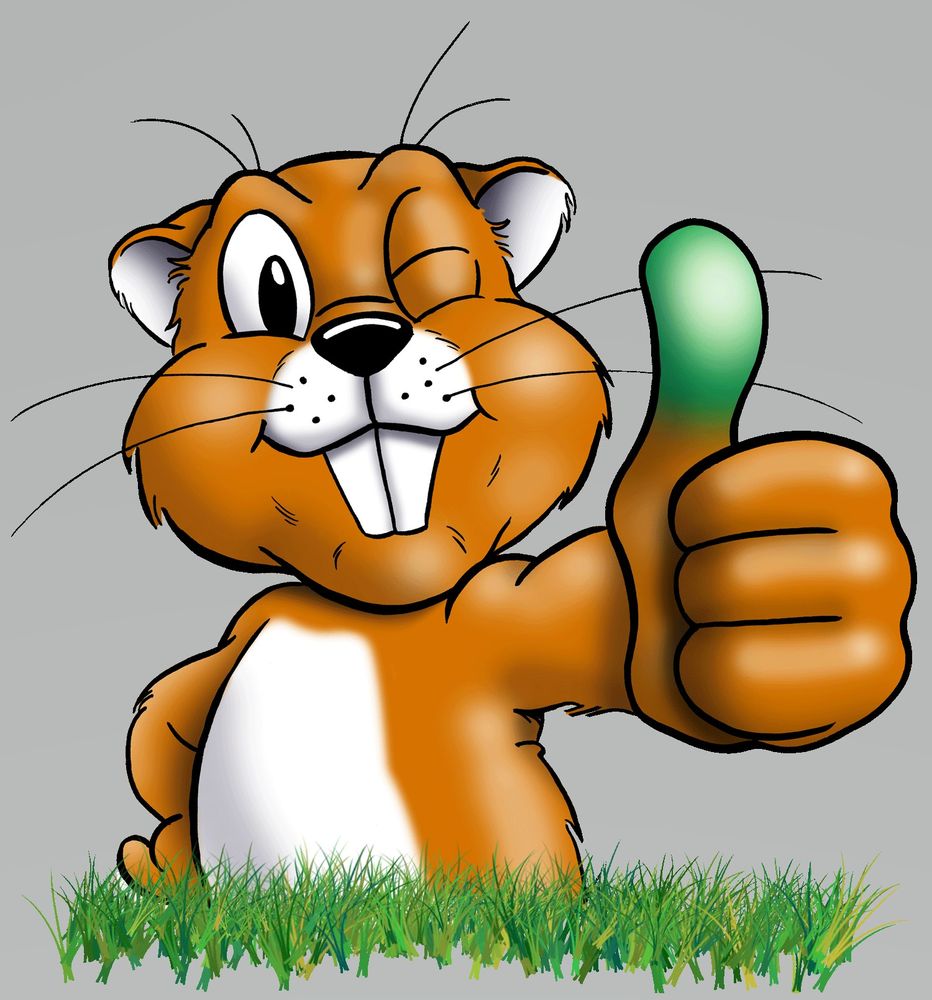 Second Nature Landscaping & Guaranteed Greener Grass - tree service in Virginia Beach, VA