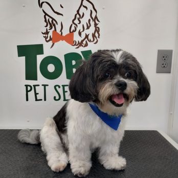 Toby's Pet Services - Pet Groomers Near Me Toby's Pet Services - Pet Groomers Near Me
