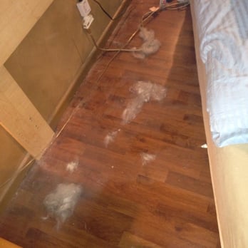 Big League Cleaning - Under my bed. - Home Cleaning Near Me