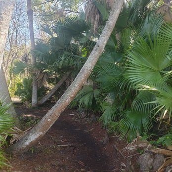 Mead Botanical Garden - Botanical Gardens Near Me - Winter Park, Florida