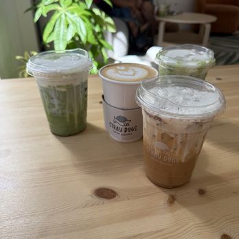 Stray Dogs Coffee Roasters - Coffee Roasteries Near Me - Riverside, California