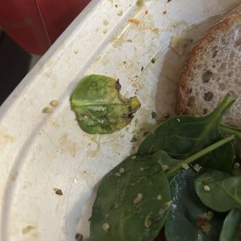 sweetgreen - Healthy Salads, Wraps, and Bowls - Salad Near Me - Westlake Village, California sweetgreen - Healthy Salads, Wraps, and Bowls - Salad Near Me - Westlake Village, California