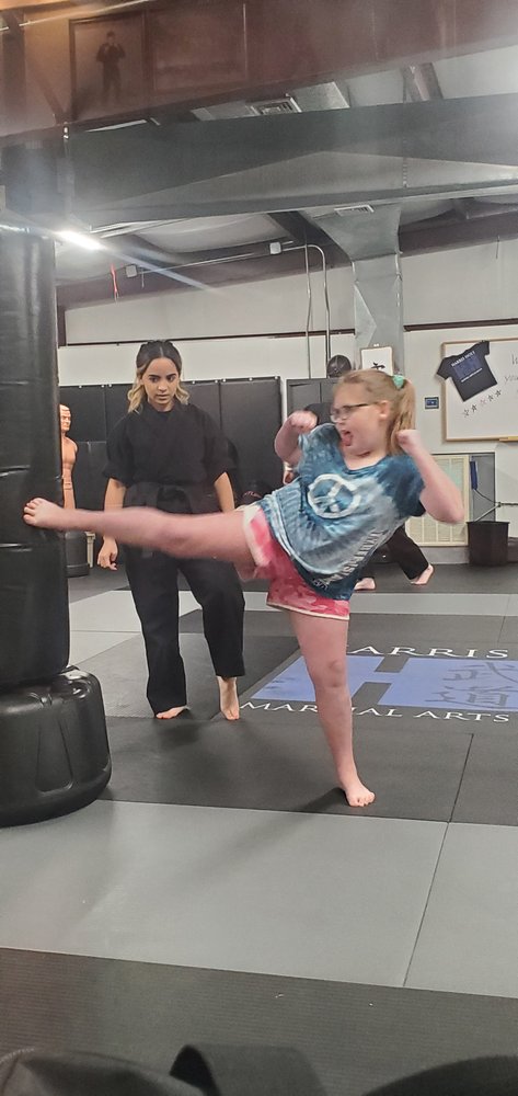 Harris Holt Martial Arts Logo