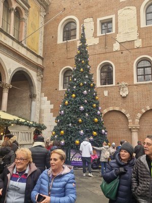 Piazza dei Signori by null