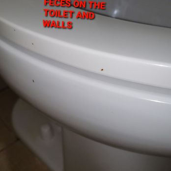 Comfort Inn - FEMALE MANAGER Hung up on me twice when I waited over 45 minutes for someone to clean the toilet properly so we can use it - Hotels Near Me - Matteson, Illinois