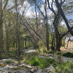 Dehy Park