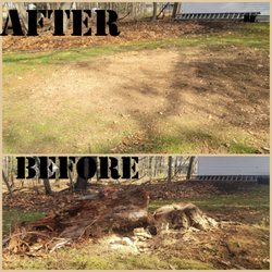 Lawn Enforcement Property Maintenance