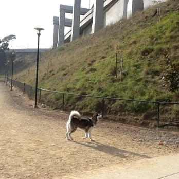 Rincon Hill Dog Park - Big dog side. Right. - Dog Parks Near Me - San Francisco, California