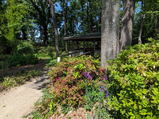 Wilson Botanical Gardens by null