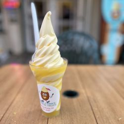 Bubba & Finn’s Tropical Treats - Classic Dole Whip Float