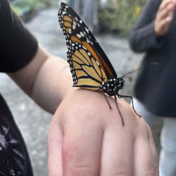 Santa Margarita Children's Center - The beauty of nature surrounds us everywhere.