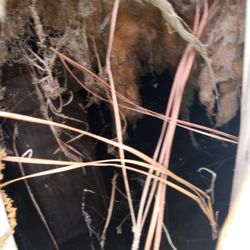 Brown's Mobile Home Park - Duct work under the trailer