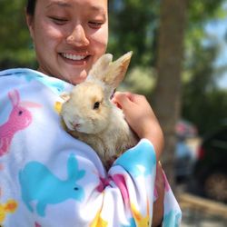 Bunny Gurus