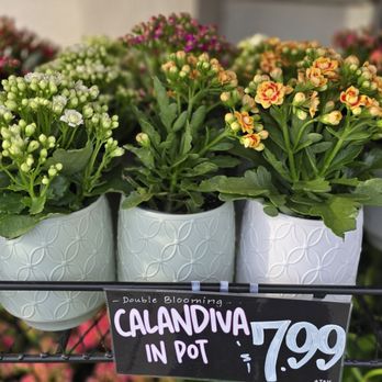 Trader Joe's - Grocery Near Me - Roseville, California Trader Joe's - Grocery Near Me - Roseville, California