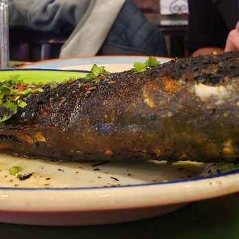 Sabry's - Grilled branzino - Seafood Near Me - Astoria, New York
