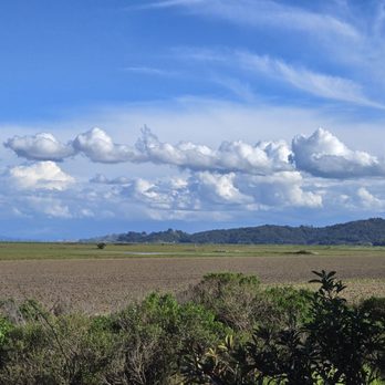Hamilton Field Bay Trail - Hiking Near Me - Novato, California Hamilton Field Bay Trail - Hiking Near Me - Novato, California