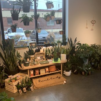Grow - Nurseries & Gardening Near Me - Charlotte, North Carolina Grow - Nurseries & Gardening Near Me - Charlotte, North Carolina