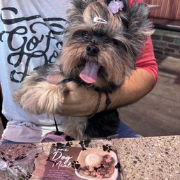 They gave her a free meal for Paws on the patio