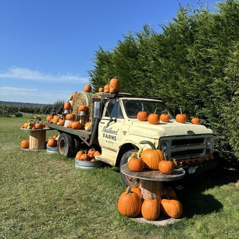 Bailey Family Farm - Pick Your Own Farms Near Me - Snohomish, Washington