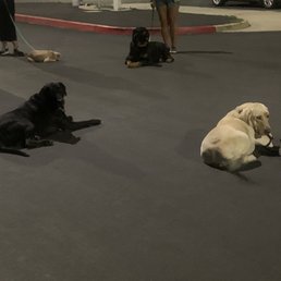 Intermediate Level Class