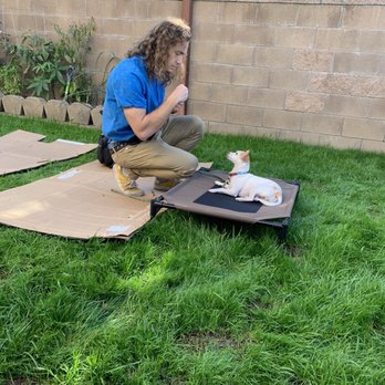 Dogfather Dog Institute - Alex and molly - Pet Training Near Me Dogfather Dog Institute - Alex and molly - Pet Training Near Me