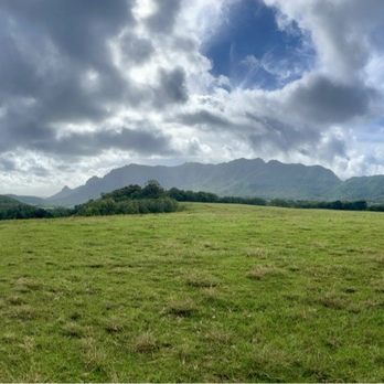 Kipu Ranch Adventures - 1st stop - Tours Near Me - Lihue, Hawaii Kipu Ranch Adventures - 1st stop - Tours Near Me - Lihue, Hawaii